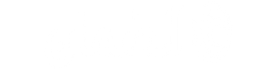 في الضمان